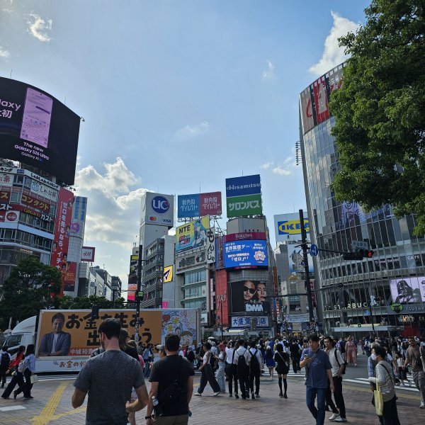 Shibuya le retour