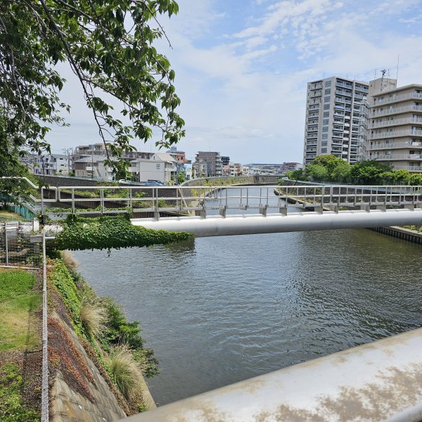 Retour à Fujisawa mais direction Enoshima